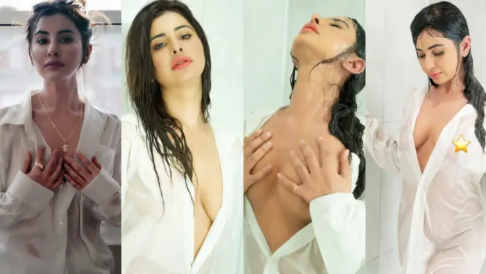 Punjabi Cute Girl Meetii Kalher 5 BG BBC Sextapes MMS Video